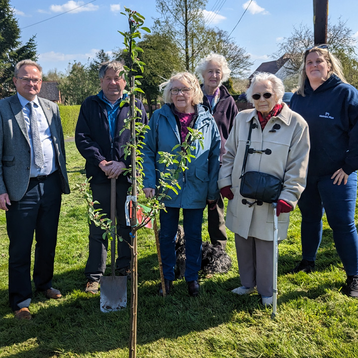 Six people are stood on grass behind a newly planted tree.